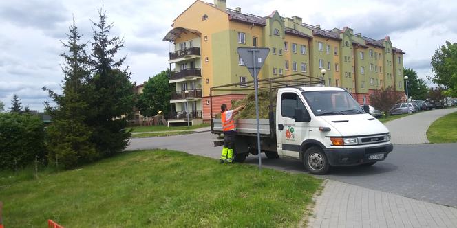 "Starachowiczanka" w akcji