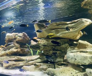 Rozmawiamy z Tomaszem Wiśniewskim, założycielem Aqua Dreams Bydgoszcz