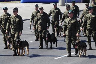 Defilada Wojska Polskiego bez psów. Upały pokrzyżowały plany. Znamy szczegóły