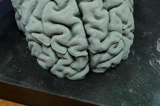 Na KUL-u drukują ludzki mózg. Tak uczą anatomii w 3D!