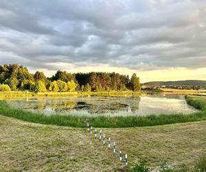 Szukacie ciszy i spokoju nad wodą? Zalew Umer to świętokrzyska oaza