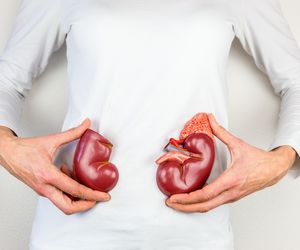 Urografia – kiedy wykonuje się badanie RTG nerek z kontrastem?