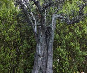 Grób Jana Kulczyka 10 lat od jego śmierci 