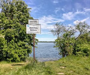 Nie miał litości dla matki swoich dzieci. Ofiarę porównał do kurczaka