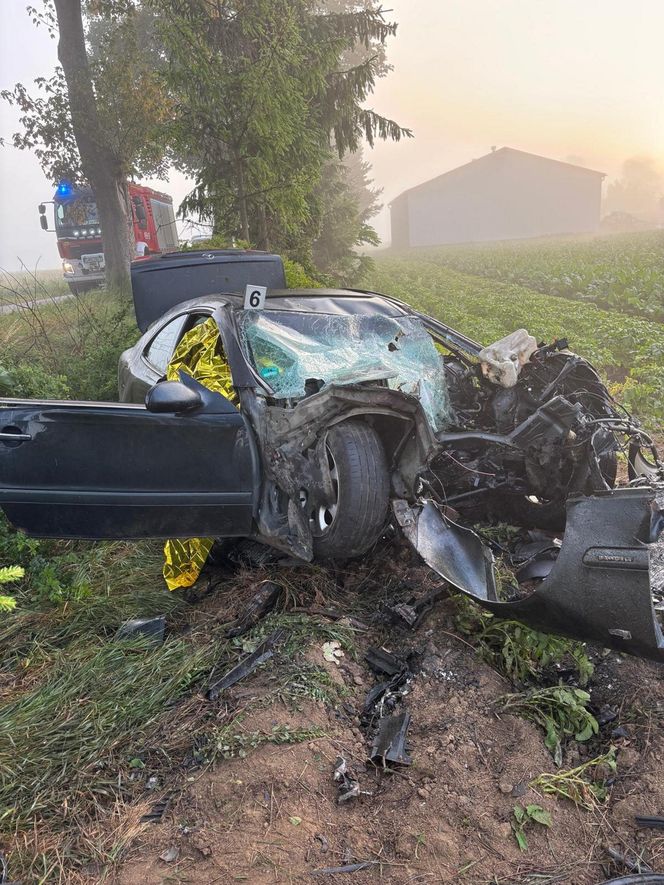 Śmiertelny wypadek pod Malborkiem. Dwóch nastolatków uderzyło w drzewo [ZDJĘCIA].