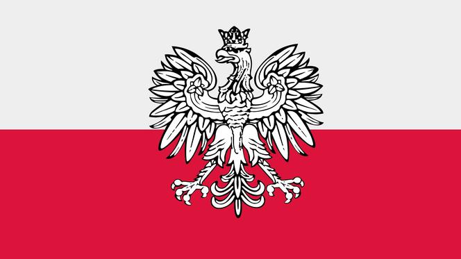 Godło Polski czeka REWOLUCYJNA ZMIANA? Uwagi zostały już zgłoszone