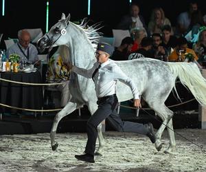 Porażka Pride of Poland 2024? Zyski są zdecydowanie niższe niż rok temu