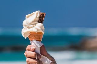 Lody prawdziwe i fałszywe. Jak rozpoznać prawdziwe lody? [WIDEO+QUIZ]
