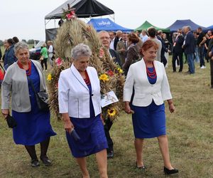 Korowód dożynkowy na dożynkach wojewódzkich 2025 w Świdniku