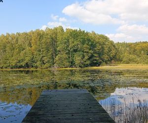 Urokliwe miejsca na jesień w Trójmieście i okolicach. Tu się zrelaksujesz i zapomnisz o miejskim zgiełku