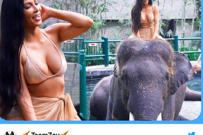 Kim Kardashian na słoniu