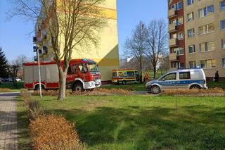 Przerażające odkrycie w święta! W zamkniętym mieszkaniu znaleziono zwłoki kobiety [ZDJĘCIA] 