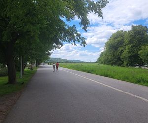 Błonia w Krakowie