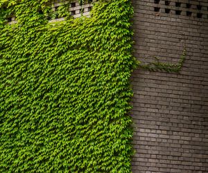 Willa Romualda Gutta na Kolonii Profesorskiej w Warszawie