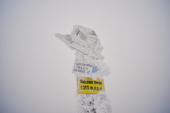 W Bieszczady zawitała zima: Zobacz piękne zdjęcia i wideo z kamery 360 stopni [ZDJĘCIA, WIDEO]