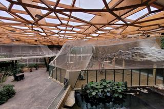 Jak zbudowano łódzkie Orientarium