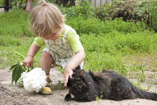 ZWIERZĘ DOMOWE uczy dziecko empatii i... wegetarianizmu?