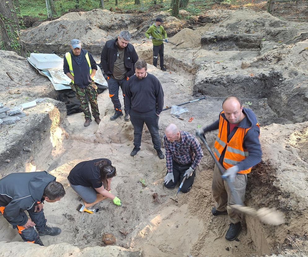 14 tys. artefaktów wykopano na terenie Westerplatte. Blisko płowa jest dużej wartości 