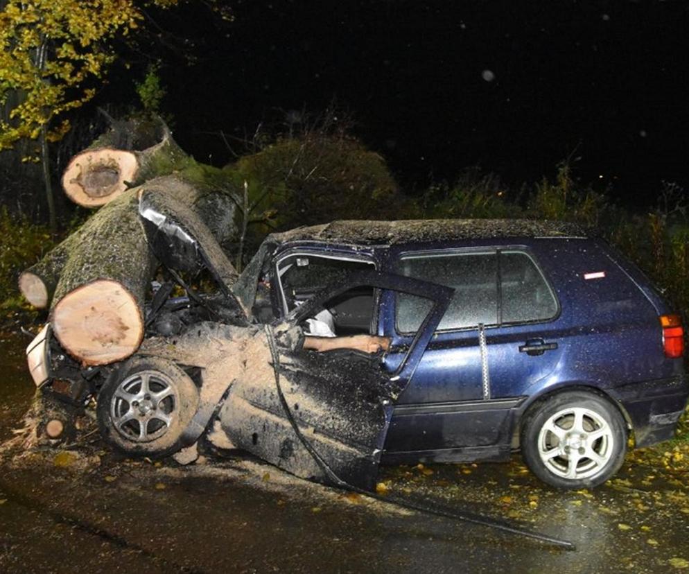 Drzewo spadło na jadący pojazd 