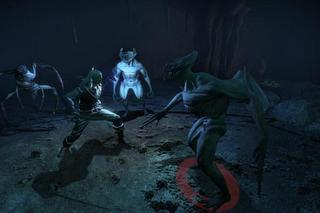 The Witcher: Enhanced Edition Director's Cut - screeny z gry