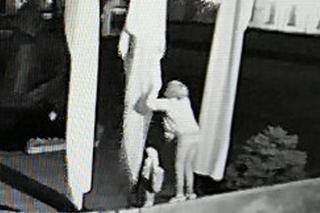 Robiły to na terenie parafii w Pułtusku pod osłoną nocy! Jedna z kobiet stała na ogrodzeniu [ZDJĘCIA]