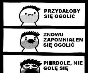 Memy o brodzie z okazji Światowego Dnia Brody