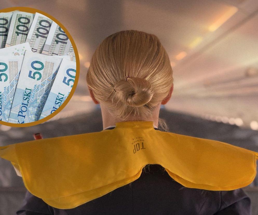 Stewardessa to praca dla ciebie? Linie lotnicze poszukują pracowników. Sprawdź, ile zarabia stewardessa 