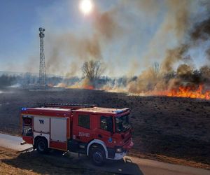 Nie pomagają groźby ani prośby. Suche trawy cały czas się palą.  Pożarów jest bardzo dużo!