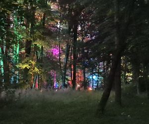 Olsztyn zamienił się w magiczną krainę. Park Świateł przyciągnął tłumy!