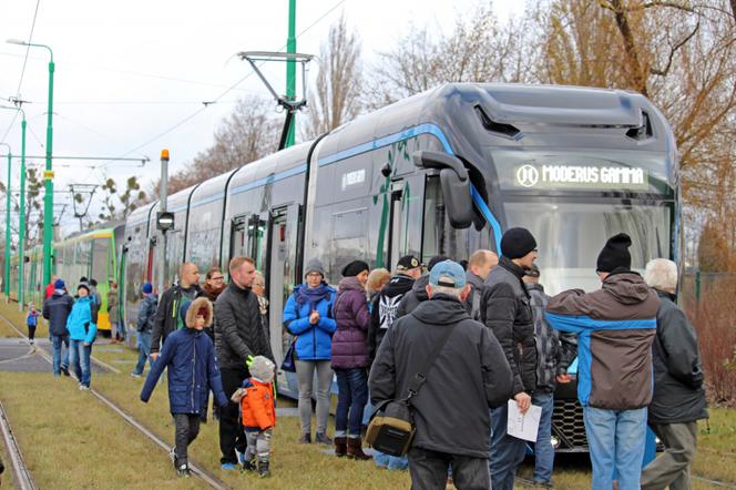 Tak wygląda tramwaj moderus gamma.