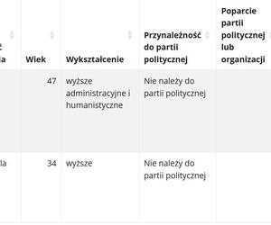 Wybory samorządowe 2024. Sprawdź, jak głosowano w gminach powiatu piotrkowskiego [GALERIA]