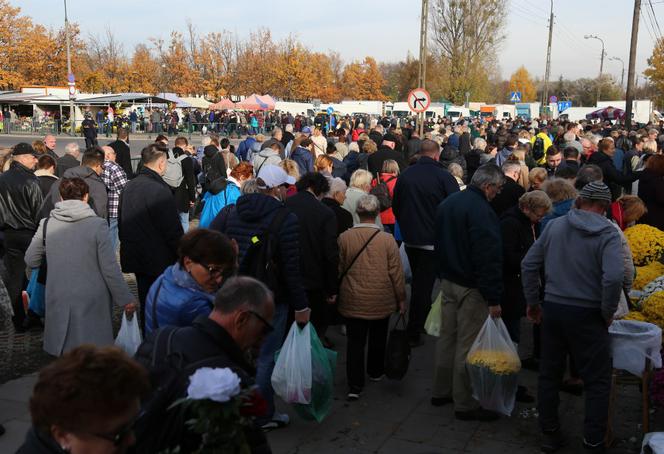 Tłumy korki na Cmentarzu Północnym