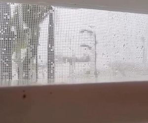 Michał Żebrowski pokazał oko cyklonu! Potworne zniszczenia po Melissie