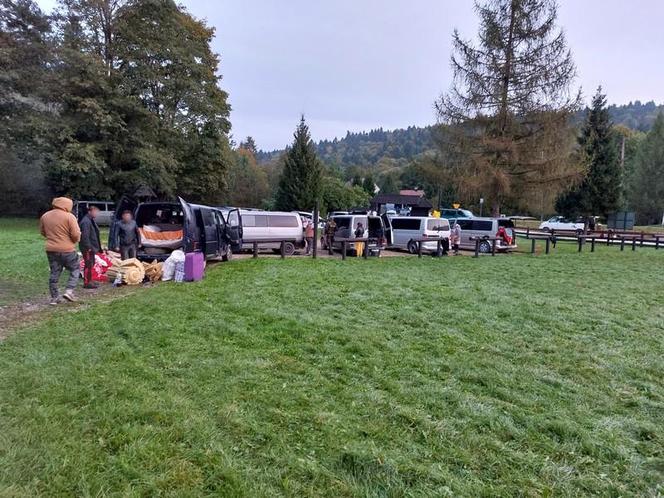 Najazd rumuńskich grzybiarzy na Podkarpaciu