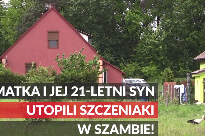 Matka i jej syn utopili szczeniaki w szambie