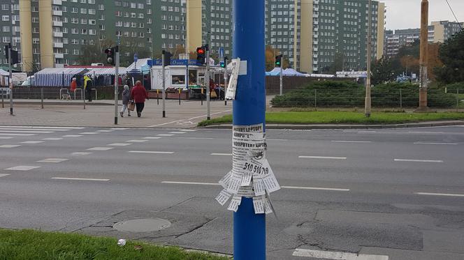 Wrocław jest pełen nielegalnie przyklejonych plakatów i ulotek