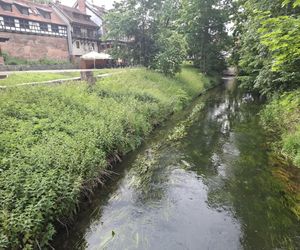 W tym mieście poczujesz się jak w Wenecji. Włoski klimat na północy Polski
