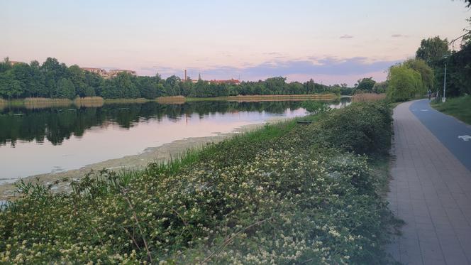 Tego nie wiedzą nawet niektórzy mieszkańcy regionu. Czym różni się Warmia od Mazur?