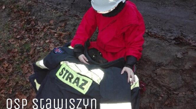 Pod psem załamał się lód! DRAMATYCZNA walka o życie pod Kaliszem [ZDJĘCIA] 