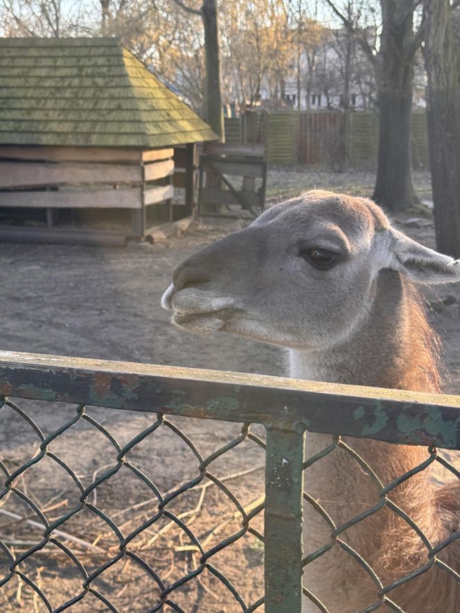 Wiosna zawitała do Wrocławia, a mieszkańcy wyszli z domów