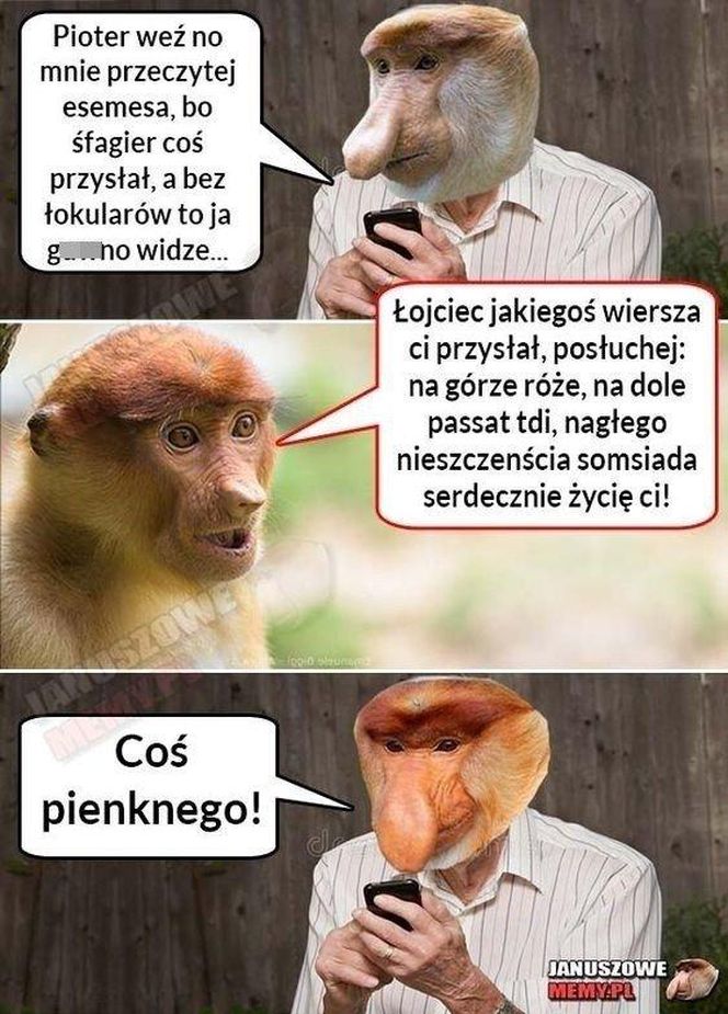 Memy na Dzień Szwagra 