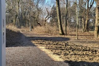 Trociny usypane w drodze do toalety automatycznej w parku