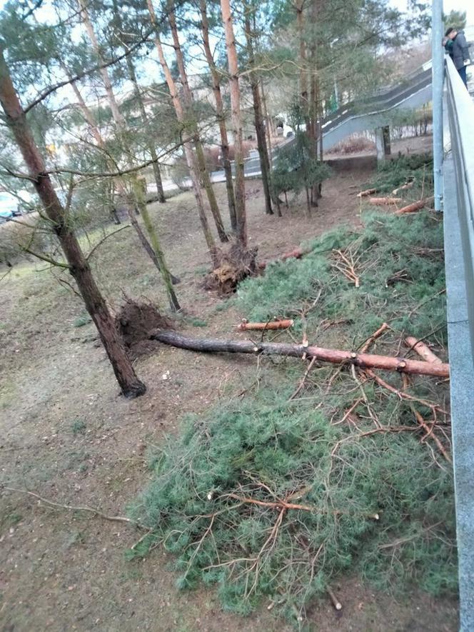 Wichura znów narobiła szkód w Lesznie i powiecie