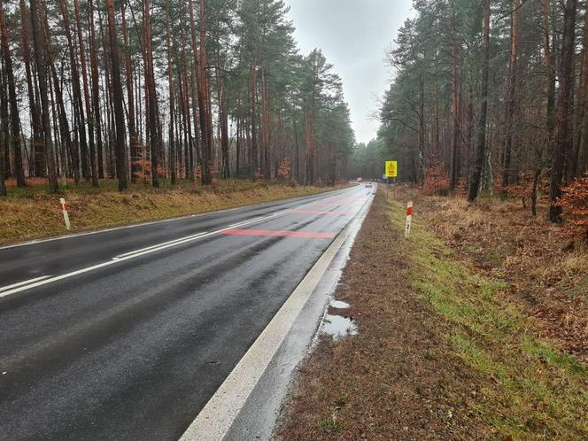 Zakręt śmierci w Jamnicy zabrał kolejne młode życie