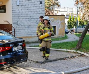 Pożar w bloku w Ostrowie Wielkopolskim. Nie żyje jedna osoba, 10 jest rannych