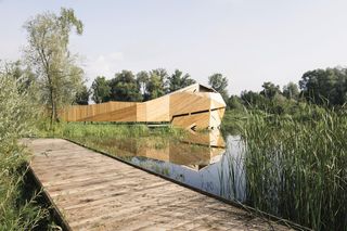 Enklawa Przyrodnicza Bobrowisko w Starym Sączu