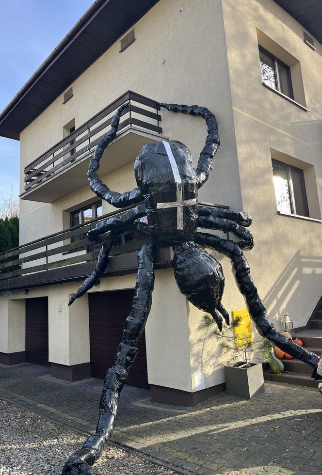 Gigantyczny pająk z plastikowych butelek ozdobił dom w Lublinie