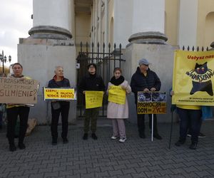 Wielki protest przez ratuszem. Wolontariusze walczą o życie kotów