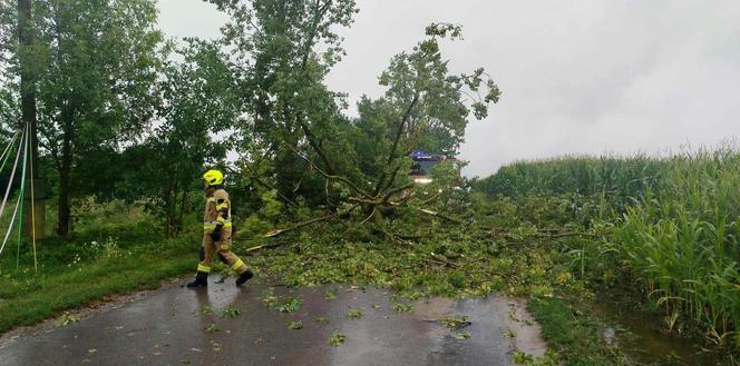  Burzowa noc w regionie Świętokrzyskim! Grad, połamane drzewa, zalane ulice