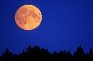  Pełnia księżyca we wrześniu 2023. Kiedy oglądać Księżyc Plonów? Magia już jest wyczuwalna! 
